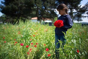girl in a field