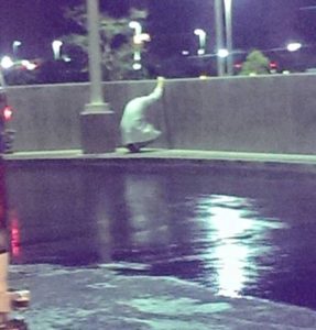 physician expressing grief on a city street