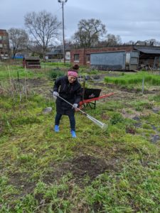 pulling weeds in March