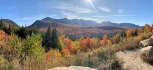 hills covered in autumn foliage