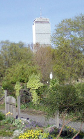 fenway victory gardens