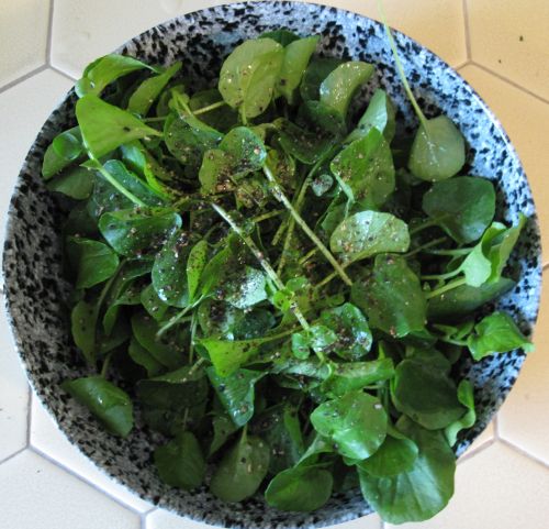 watercress_salad