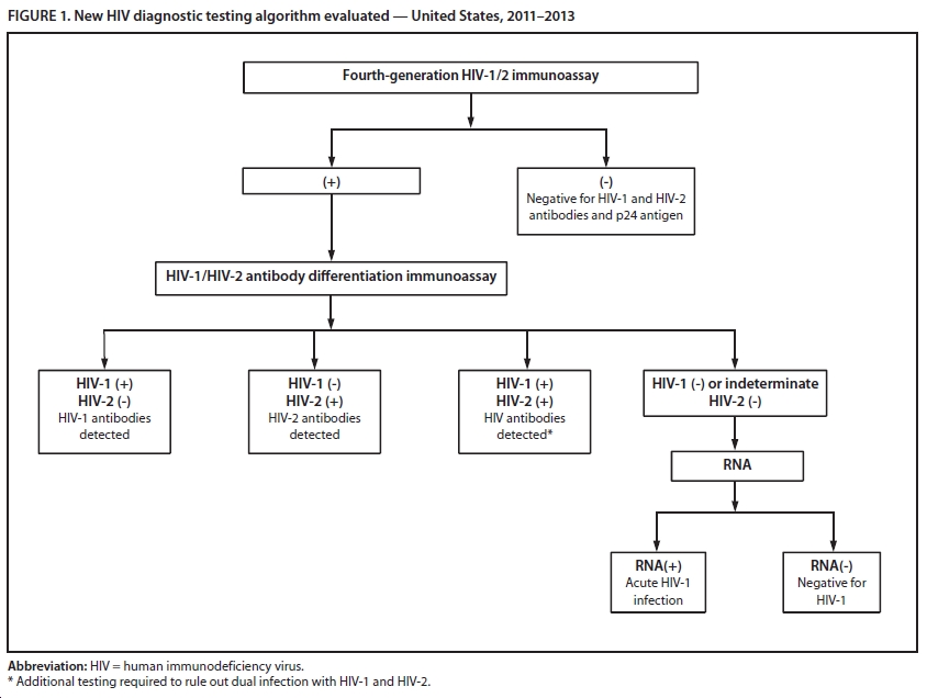 HIV Testing Algorithm http://www.cdc.gov/mmwr/preview/mmwrhtml/mm6224a2.htm?s_cid=mm6224a2_w