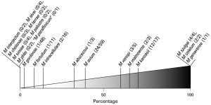 ntm proportion real disease