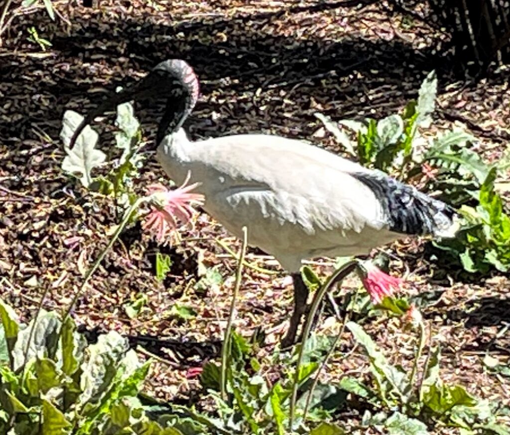 REPRIEVE Trial Highlights Shift in HIV Care from ID to General Medicine ...